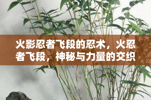 火影忍者飞段的忍术，火忍者飞段，神秘与力量的交织