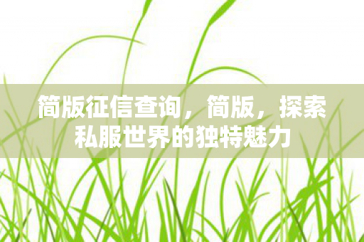 简版征信查询，简版，探索私服世界的独特魅力