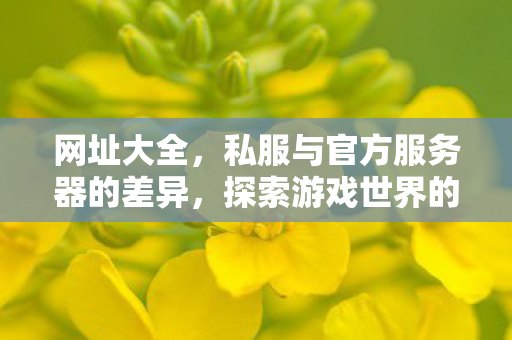 网址大全，私服与官方服务器的差异，探索游戏世界的另一面