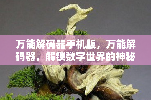 万能解码器手机版，万能解码器，解锁数字世界的神秘钥匙