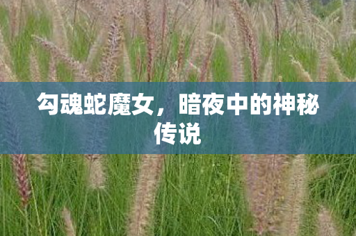 勾魂蛇魔女，暗夜中的神秘传说
