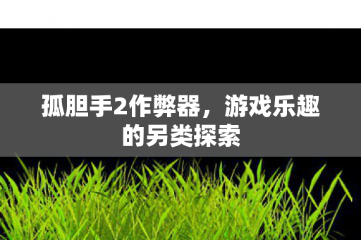 孤胆手2作弊器，游戏乐趣的另类探索