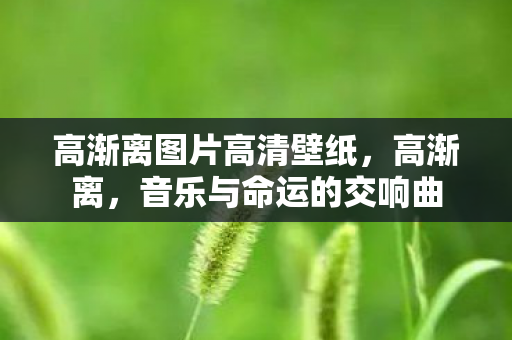 高渐离图片高清壁纸，高渐离，音乐与命运的交响曲