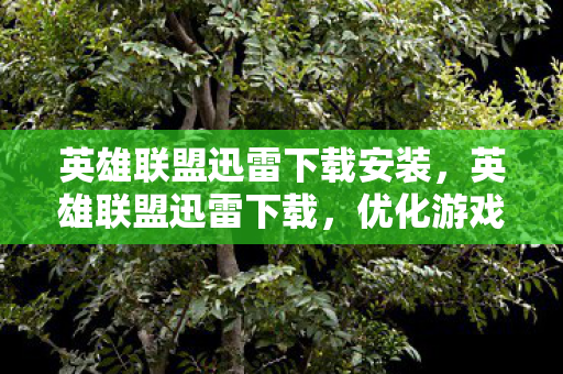 英雄联盟迅雷下载安装，英雄联盟迅雷下载，优化游戏体验，提升下载速度