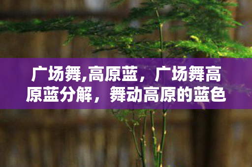 广场舞,高原蓝，广场舞高原蓝分解，舞动高原的蓝色旋律
