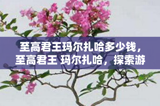 至高君王玛尔扎哈多少钱，至高君王 玛尔扎哈，探索游戏王界的传奇角色