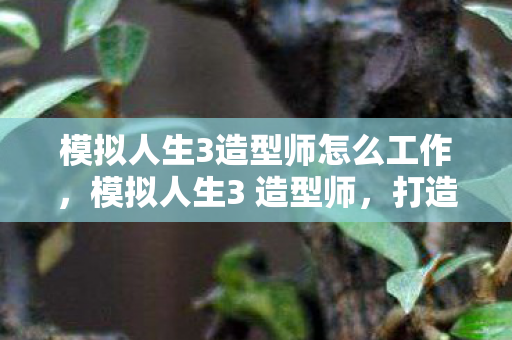 模拟人生3造型师怎么工作，模拟人生3 造型师，打造个性化角色的艺术