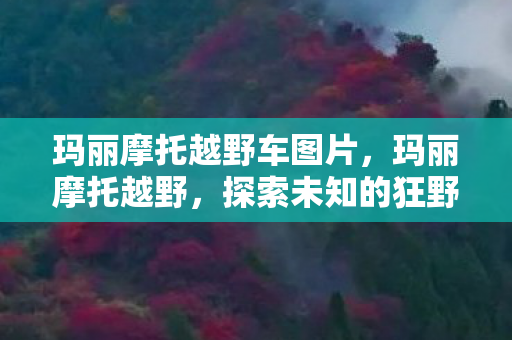 玛丽摩托越野车图片，玛丽摩托越野，探索未知的狂野之旅