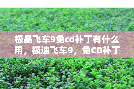极品飞车9免cd补丁有什么用，极速飞车9，免CD补丁的便捷与安全性探讨