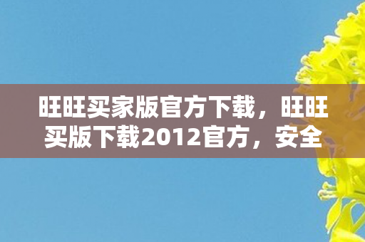 旺旺买家版官方下载，旺旺买版下载2012官方，安全、便捷、高效的官方下载体验