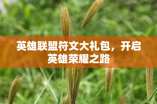 英雄联盟符文大礼包,开启英雄荣耀之路 英雄联盟符文大礼包,开启英雄荣耀之路