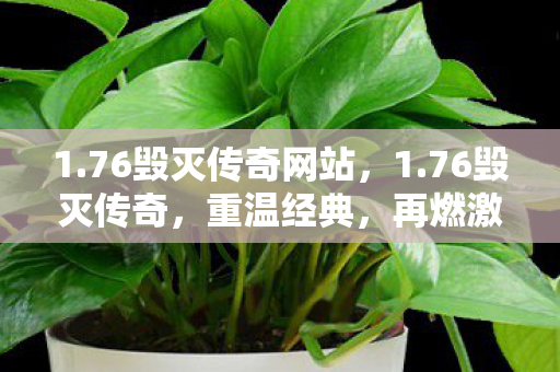 1.76毁灭传奇网站，1.76毁灭传奇，重温经典，再燃激情