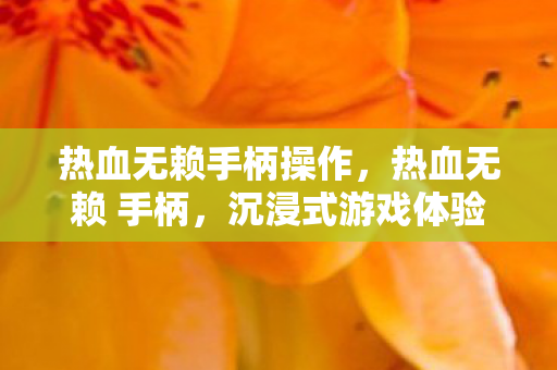 热血无赖手柄操作，热血无赖 手柄，沉浸式游戏体验的新选择