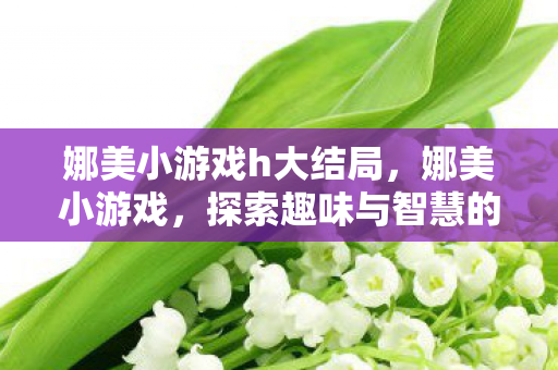 娜美小游戏h大结局，娜美小游戏，探索趣味与智慧的奇妙之旅