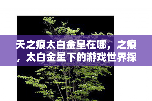 天之痕太白金星在哪，之痕，太白金星下的游戏世界探索