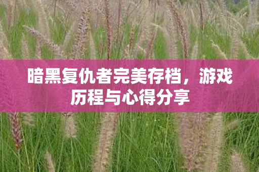 暗黑复仇者完美存档,游戏历程与心得分享 暗黑复仇者完美存档,游戏历程与心得分享