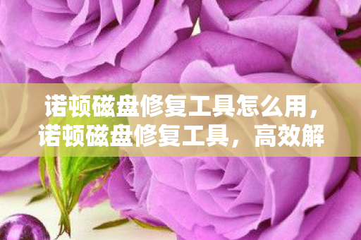 诺顿磁盘修复工具怎么用，诺顿磁盘修复工具，高效解决磁盘问题的利器