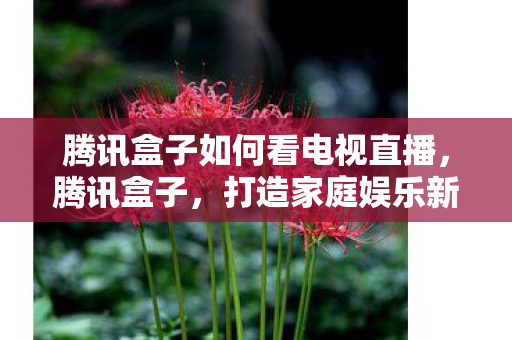 腾讯盒子如何看电视直播，腾讯盒子，打造家庭娱乐新体验