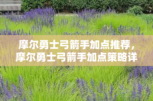 摩尔勇士弓箭手加点推荐，摩尔勇士弓箭手加点策略详解