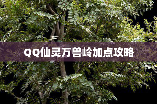 QQ仙灵万兽岭加点攻略 QQ仙灵万兽岭加点攻略