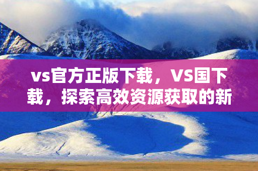 vs官方正版下载，VS国下载，探索高效资源获取的新途径