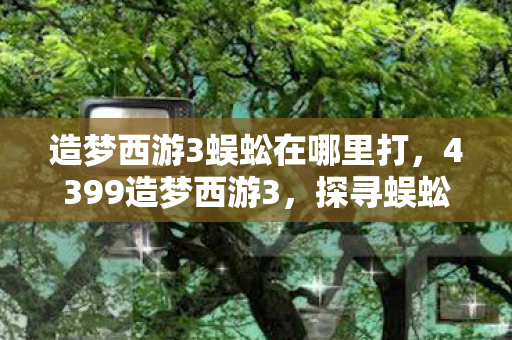 造梦西游3蜈蚣在哪里打，4399造梦西游3，探寻蜈蚣的踪迹