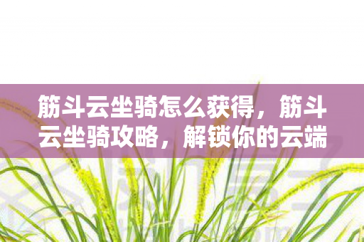 筋斗云坐骑怎么获得，筋斗云坐骑攻略，解锁你的云端之旅