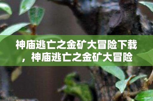 神庙逃亡之金矿大冒险下载，神庙逃亡之金矿大冒险