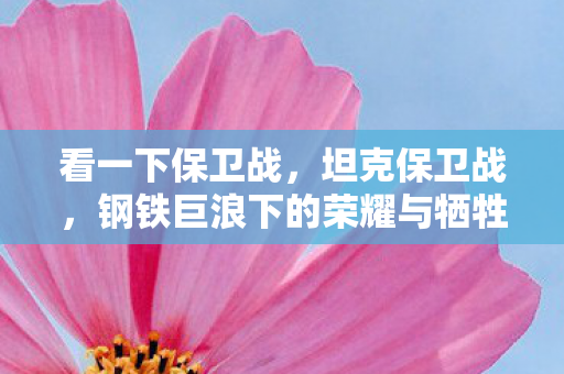 看一下保卫战，坦克保卫战，钢铁巨浪下的荣耀与牺牲