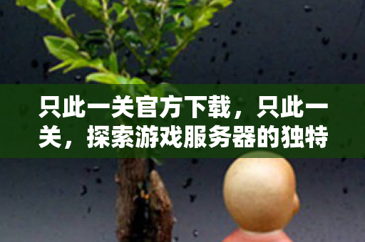 只此一关官方下载，只此一关，探索游戏服务器的独特魅力