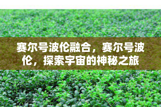 赛尔号波伦融合，赛尔号波伦，探索宇宙的神秘之旅