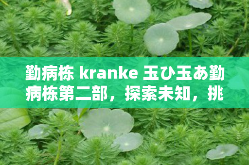 勤病栋 kranke 玉ひ玉あ勤病栋第二部，探索未知，挑战自我
