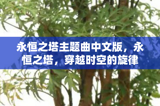 永恒之塔主题曲中文版，永恒之塔，穿越时空的旋律