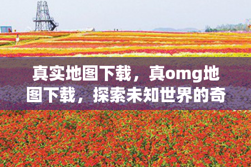 真实地图下载，真omg地图下载，探索未知世界的奇妙之旅