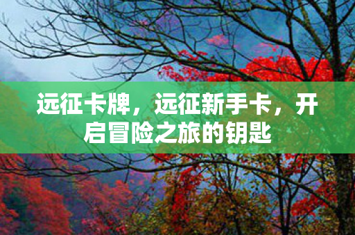 远征卡牌，远征新手卡，开启冒险之旅的钥匙