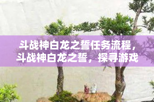 斗战神白龙之誓任务流程，斗战神白龙之誓，探寻游戏背后的故事与魅力