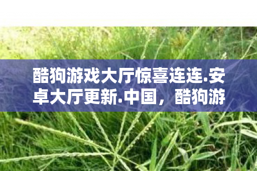 酷狗游戏大厅惊喜连连.安卓大厅更新.中国，酷狗游戏大厅，打造便捷、安全的游戏体验