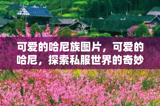 可爱的哈尼族图片，可爱的哈尼，探索私服世界的奇妙之旅