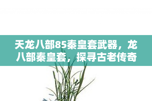天龙八部85秦皇套武器，龙八部秦皇套，探寻古老传奇的奥秘