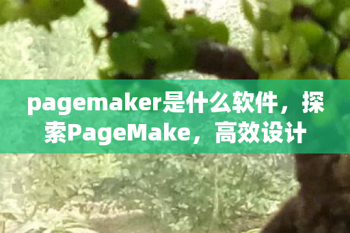 pagemaker是什么软件，探索PageMake，高效设计，无限创意