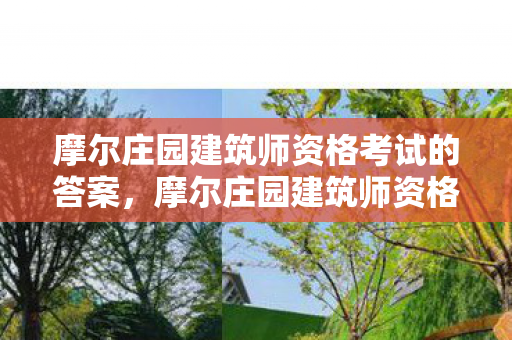 摩尔庄园建筑师资格考试的答案，摩尔庄园建筑师资格考试，梦想与现实的交汇点