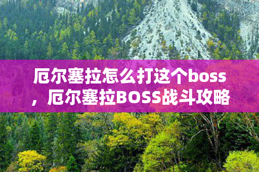 厄尔塞拉怎么打这个boss，厄尔塞拉BOSS战斗攻略
