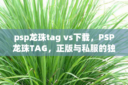 psp龙珠tag vs下载，PSP龙珠TAG，正版与私服的独特魅力对比