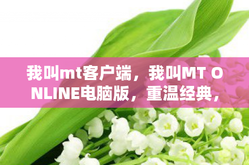 我叫mt客户端，我叫MT ONLINE电脑版，重温经典，畅享策略卡牌乐趣