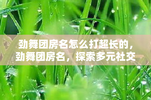 劲舞团房名怎么打超长的，劲舞团房名，探索多元社交的奇妙之旅