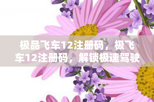 极品飞车12注册码，极飞车12注册码，解锁极速驾驶之旅