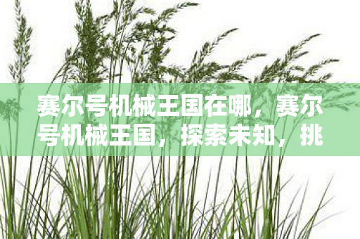 赛尔号机械王国在哪，赛尔号机械王国，探索未知，挑战极限