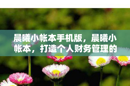 晨曦小帐本手机版，晨曦小帐本，打造个人财务管理的智慧之选