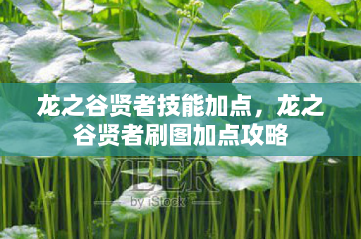 龙之谷贤者技能加点，龙之谷贤者刷图加点攻略