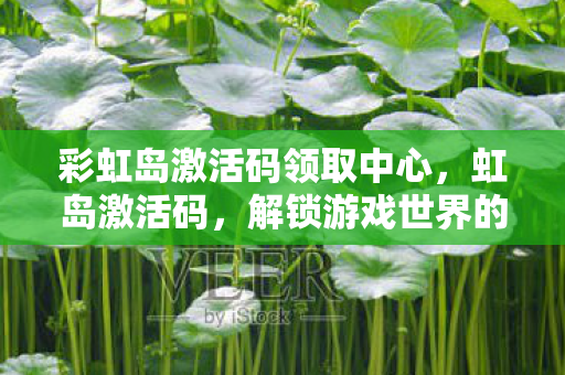 彩虹岛激活码领取中心，虹岛激活码，解锁游戏世界的神秘钥匙